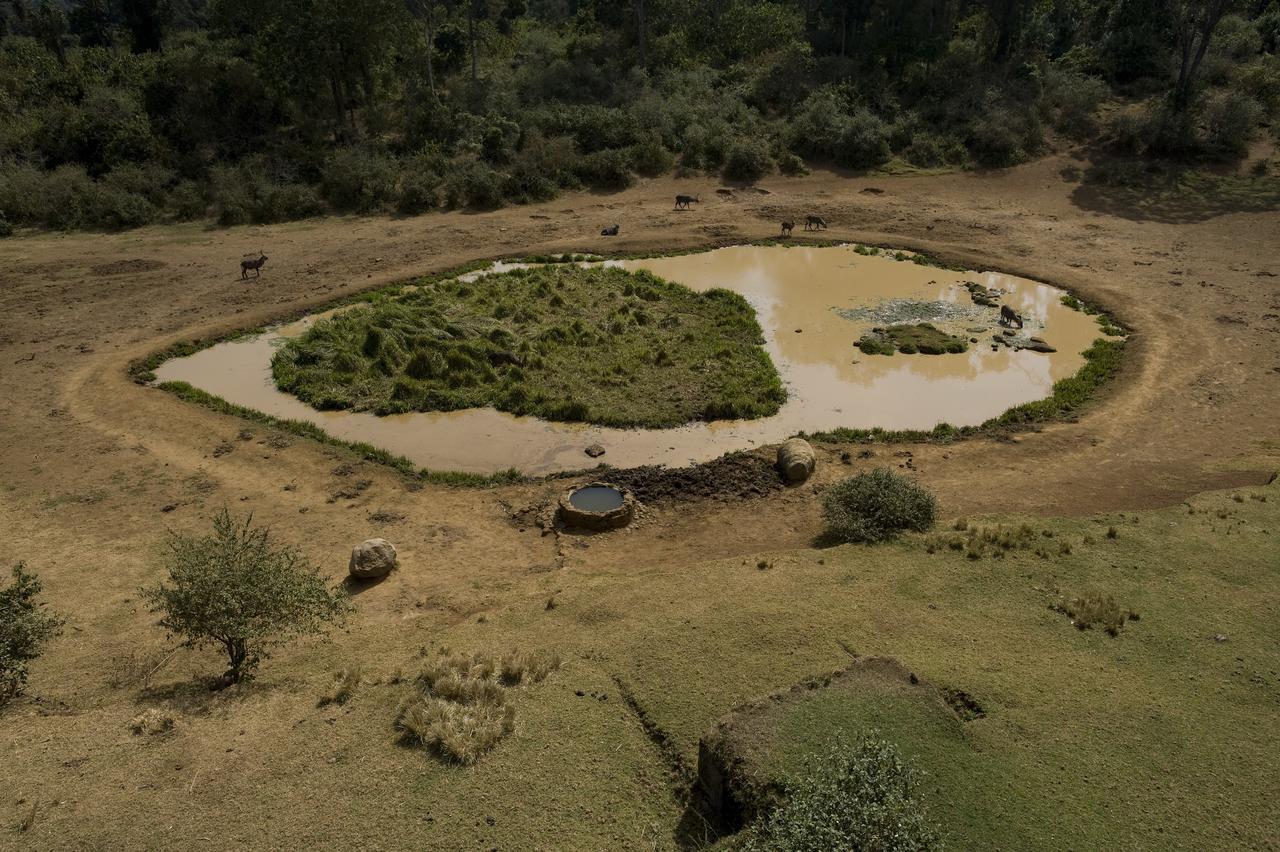 Serena Mountain Lodge Kabaru Bagian luar foto