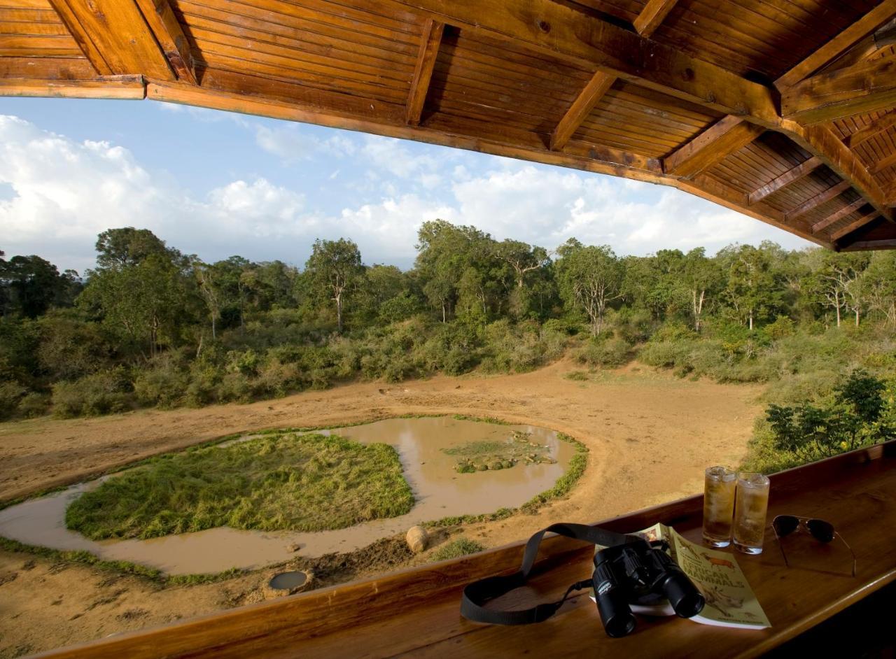 Serena Mountain Lodge Kabaru Bagian luar foto