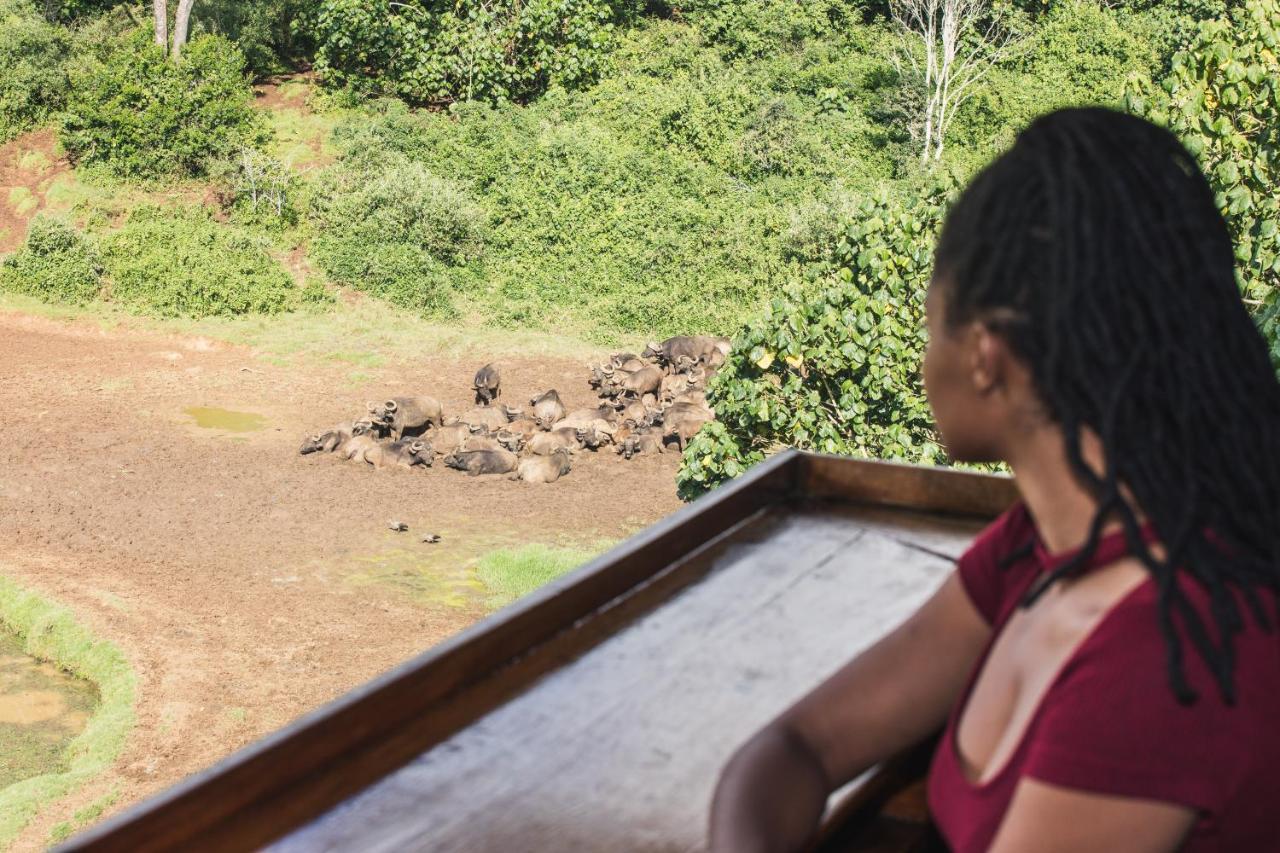 Serena Mountain Lodge Kabaru Bagian luar foto